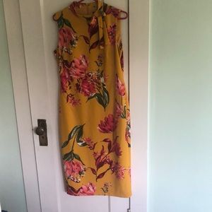 Knee length Maggy London floral summer dress